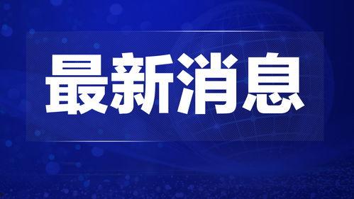 睢宁热点爆料新闻视频,最新爆料新闻视频回顾